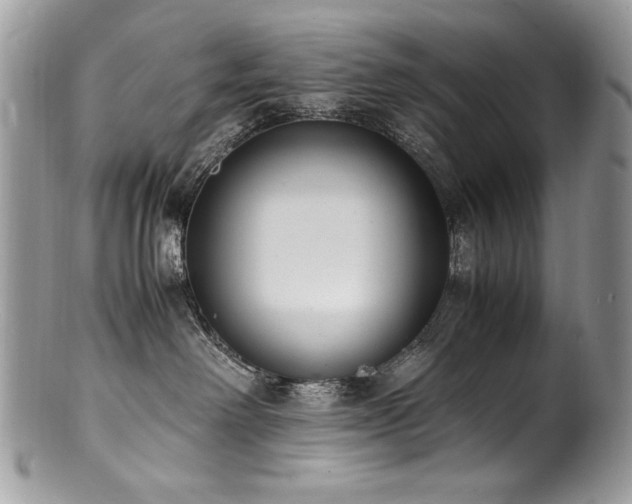 X0000100850238200806201221