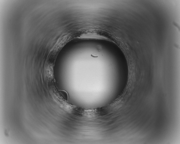 X0000100850240200806201221