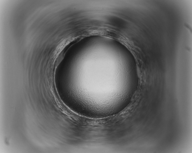 X0000100850241200806201221