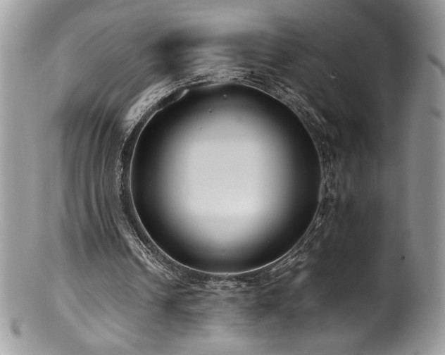 X0000100850242200806201221