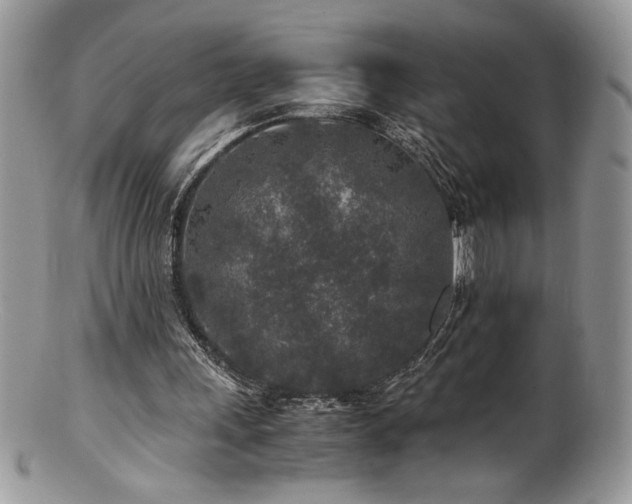 X0000100850243200806201221