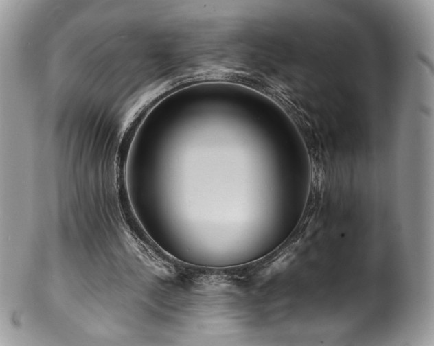 X0000100850244200806201221