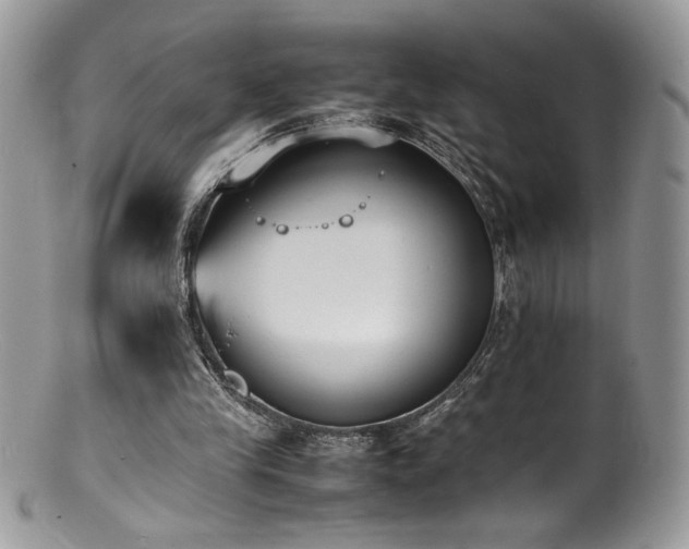 X0000100850245200806201221