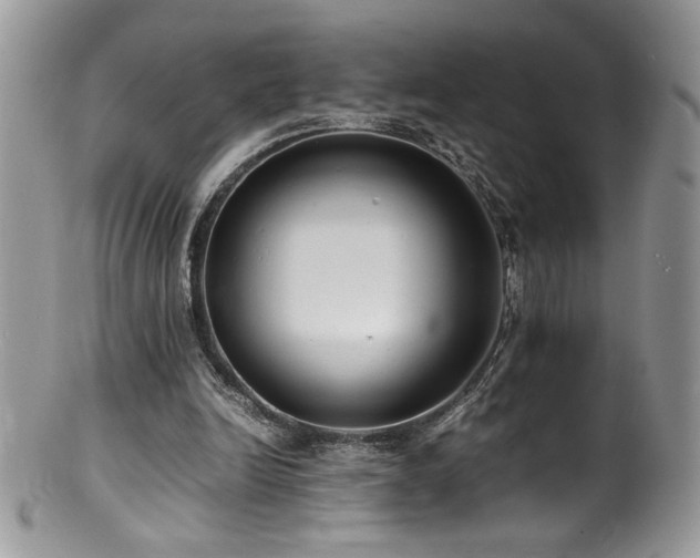 X0000100850246200806201221