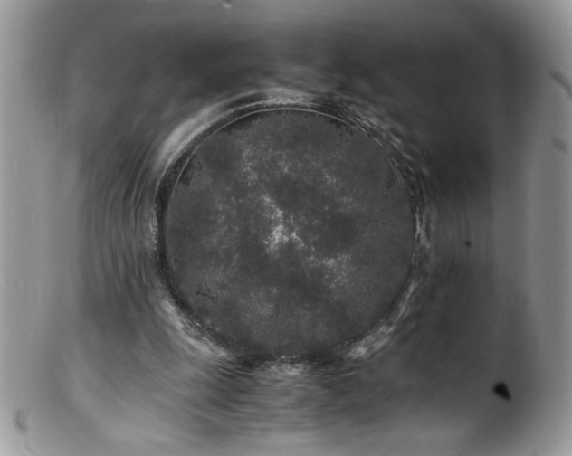 X0000100850247200806201221