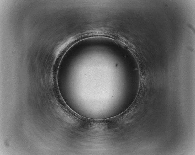 X0000100850248200806201221