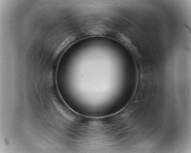 X0000100850250200806201221