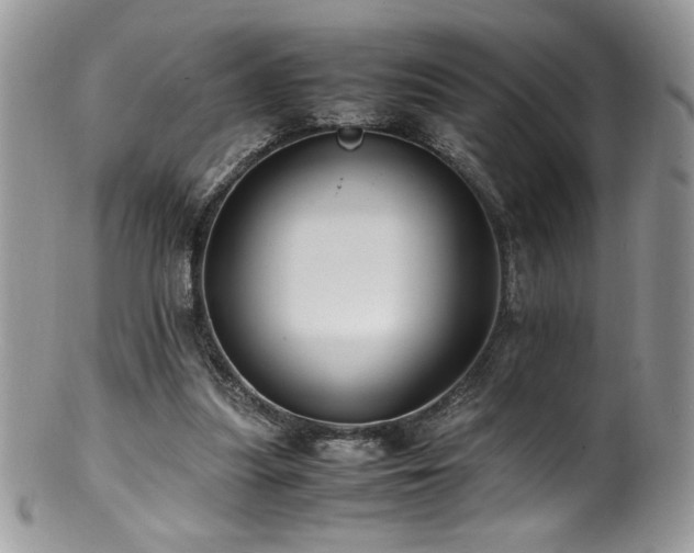 X0000100850251200806201221