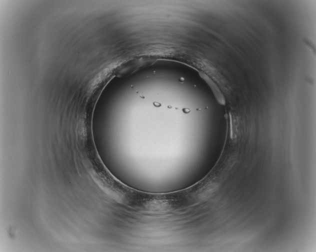 X0000100850252200806201221