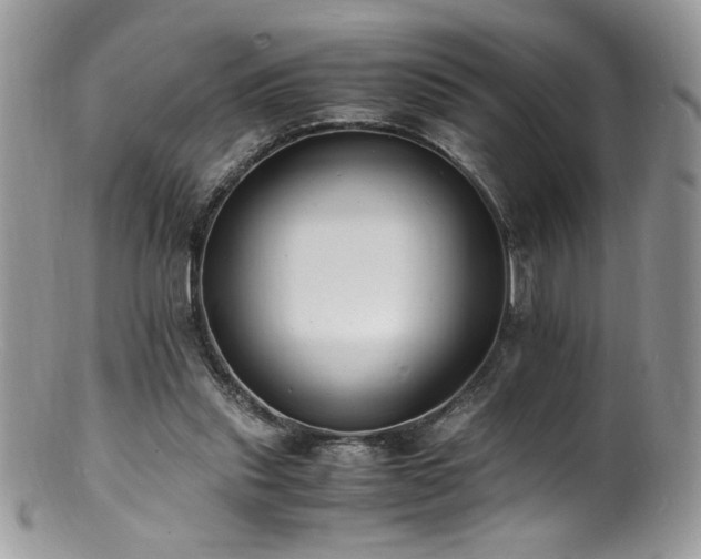 X0000100850253200806201221