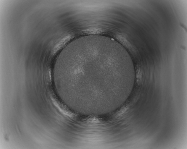 X0000100850254200806201221