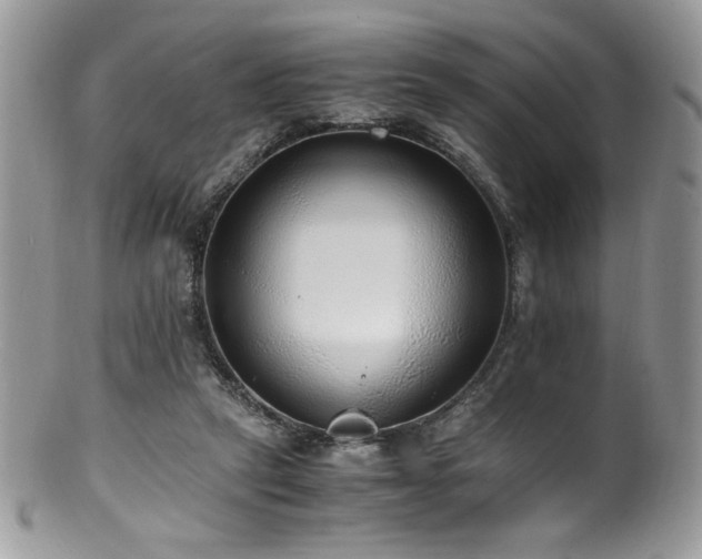X0000100850257200806201221