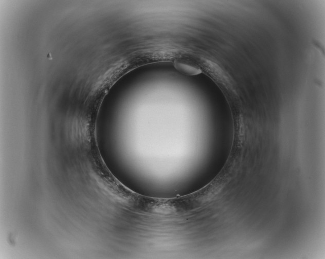 X0000100850258200806201221