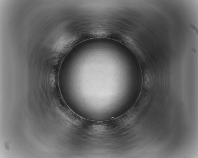 X0000100850259200806201221