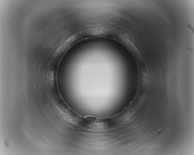 X0000100850260200806201221