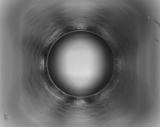 X0000100850262200806201221