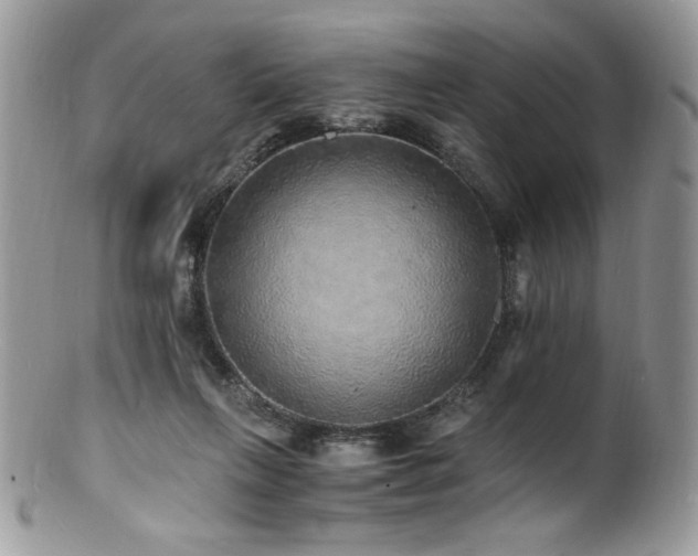 X0000100850263200806201221