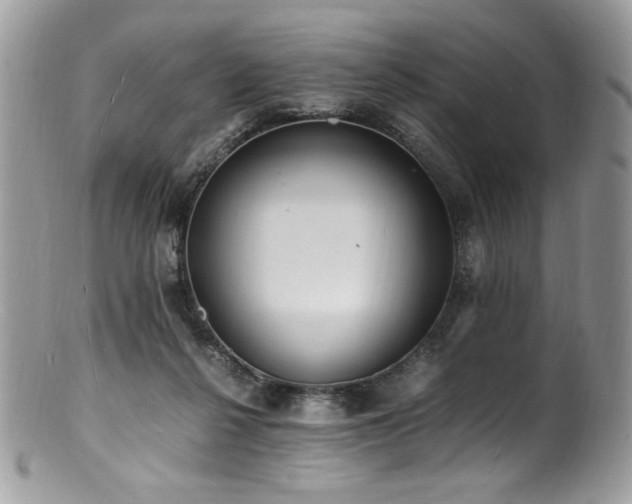 X0000100850264200806201221
