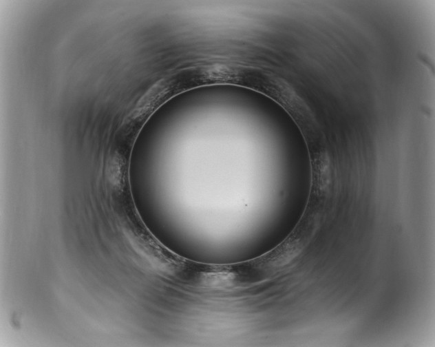 X0000100850266200806201221
