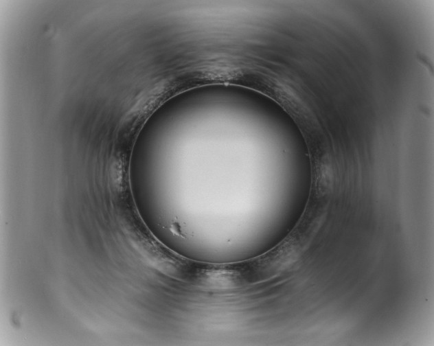 X0000100850268200806201221