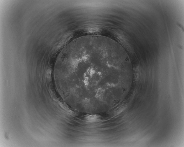 X0000100850269200806201221