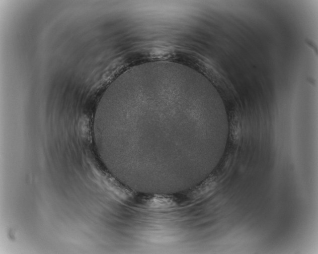 X0000100850270200806201221
