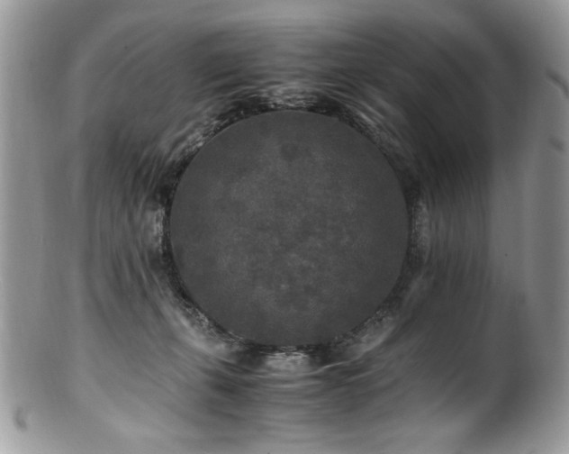 X0000100850271200806201221