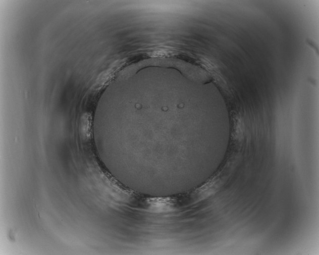 X0000100850273200806201221