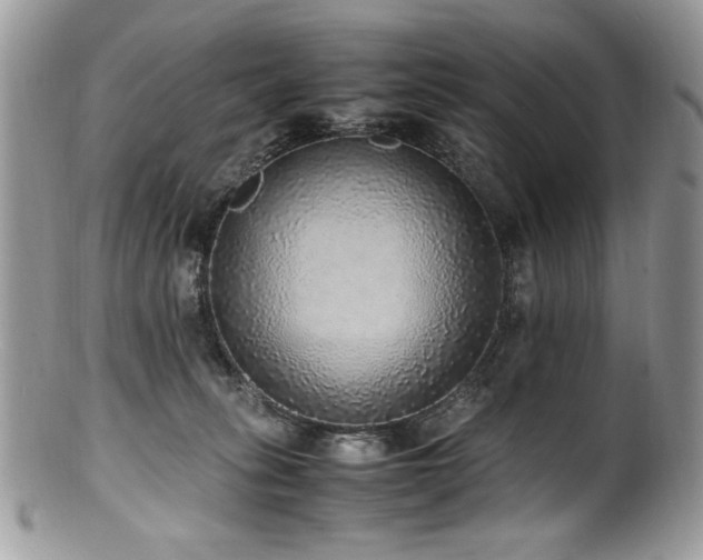 X0000100850275200806201221
