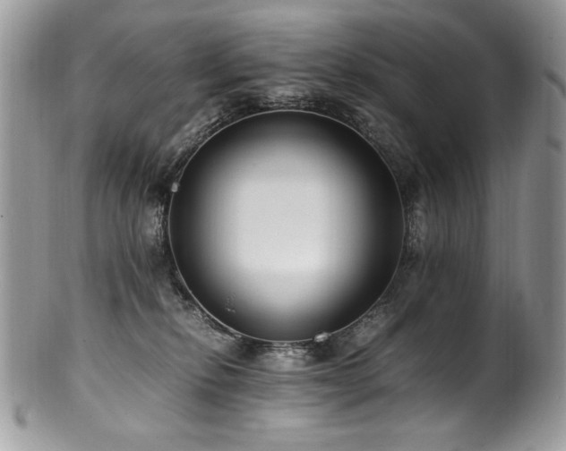 X0000100850278200806201221