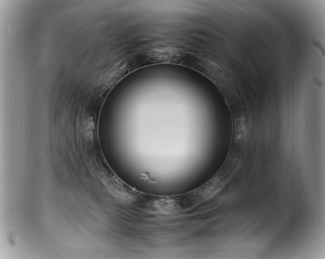 X0000100850279200806201221