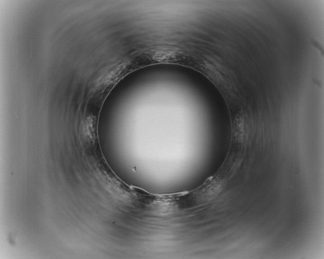 X0000100850280200806201221
