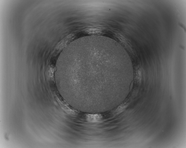X0000100850281200806201221