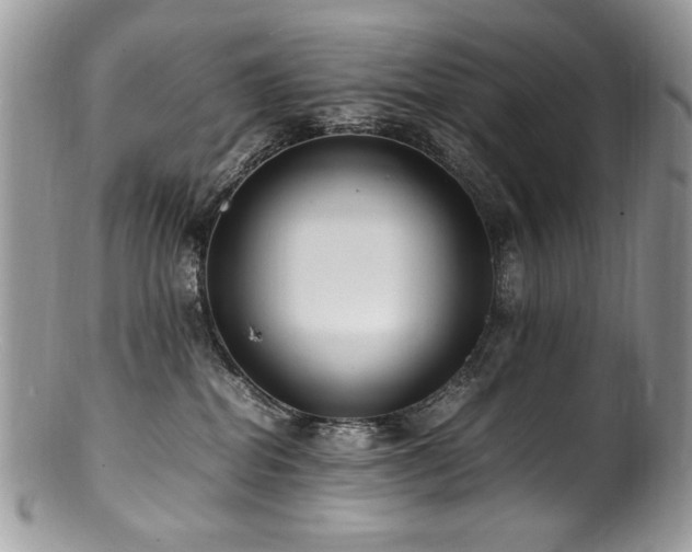 X0000100850282200806201221