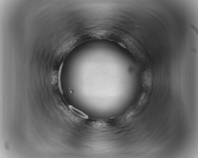 X0000100850284200806201221