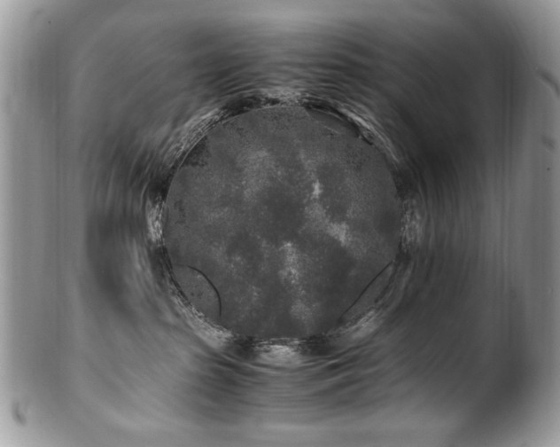 X0000100850285200806201221