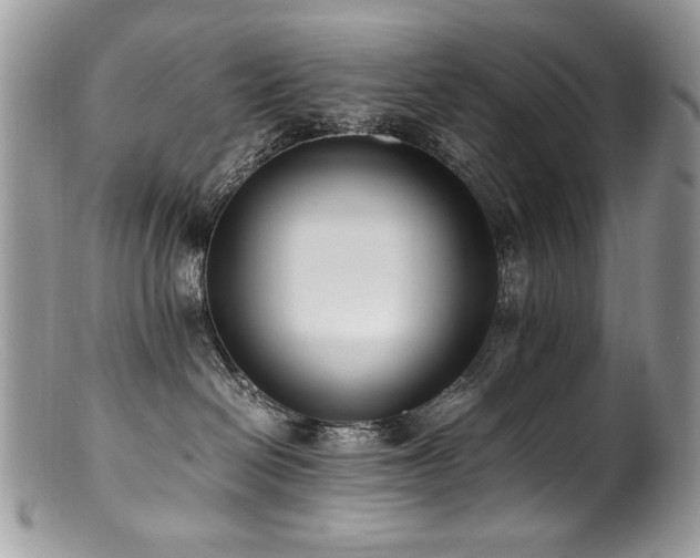 X0000100850286200806201221