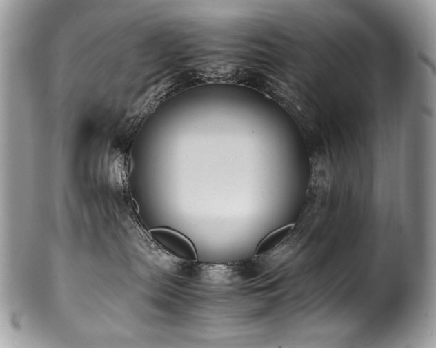 X0000100850287200806201221