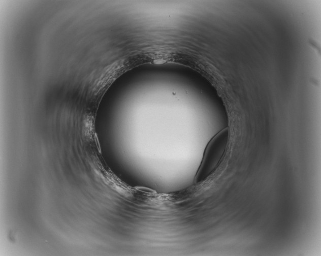 X0000100850288200806201221