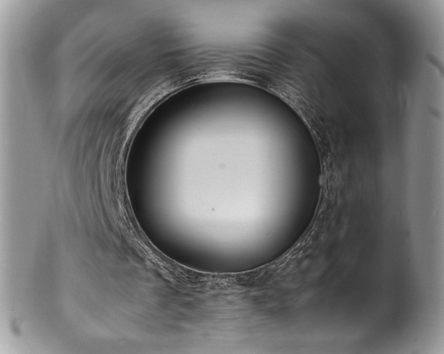 X0000100850289200806201221