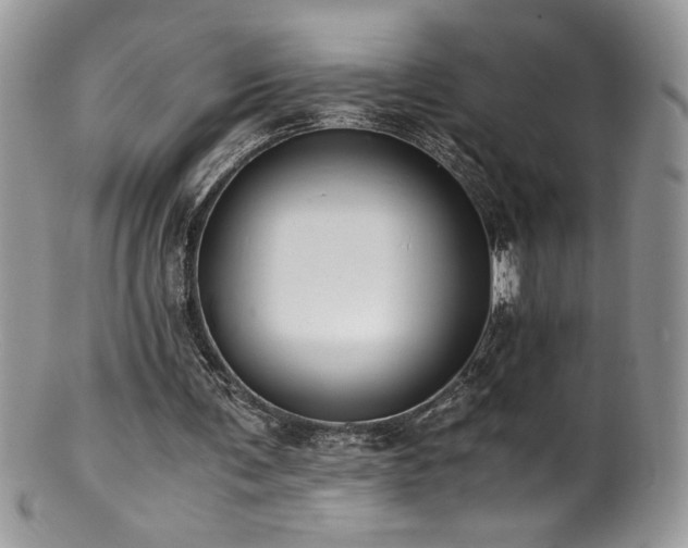 X0000100850291200806201221