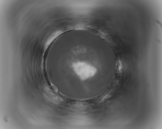 X0000100850292200806201221