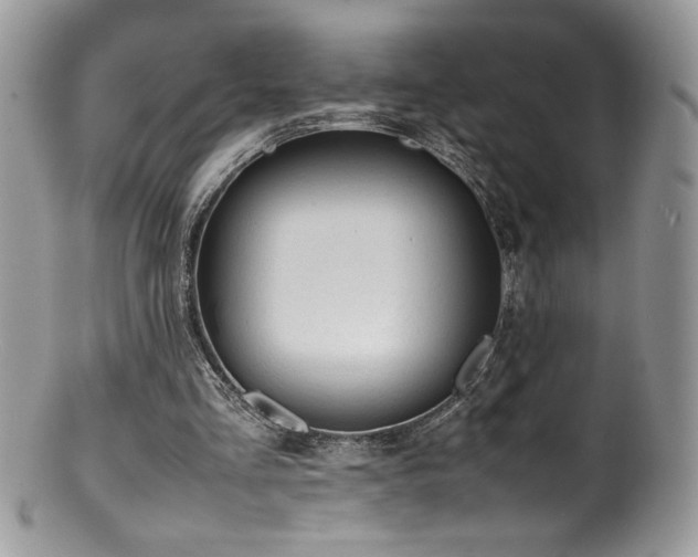 X0000100850293200806201221