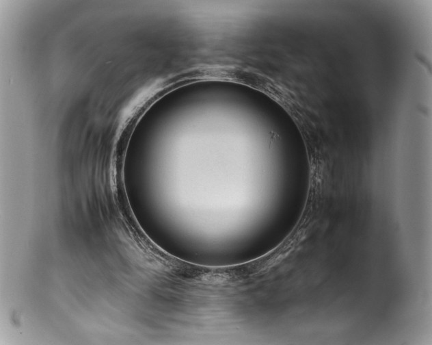 X0000100850294200806201221