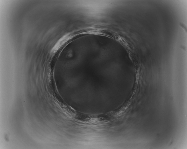 X0000100850295200806201221