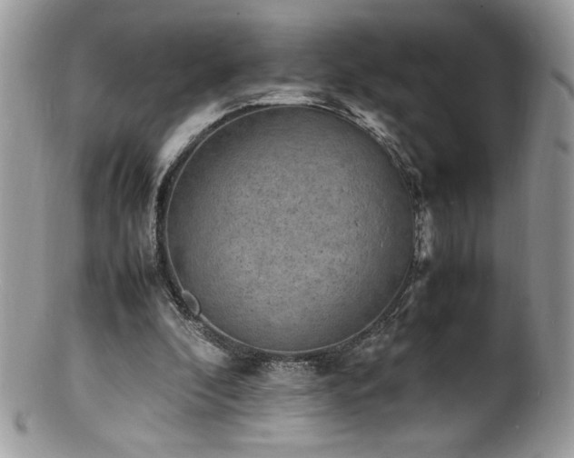X0000100850296200806201221