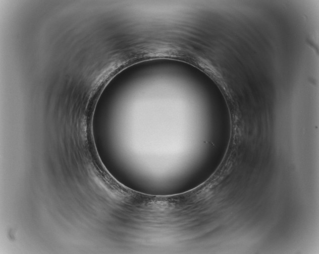 X0000100850298200806201221