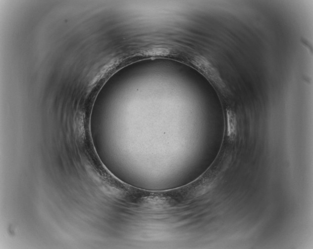 X0000100850300200806201221