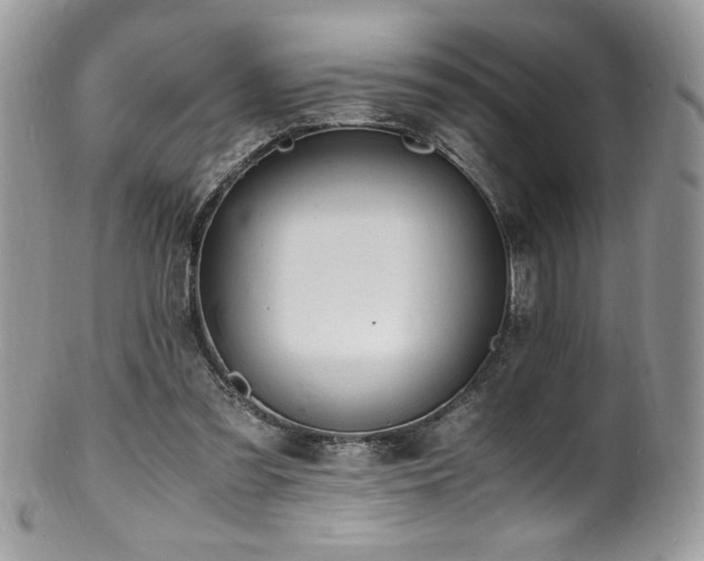 X0000100850301200806201221