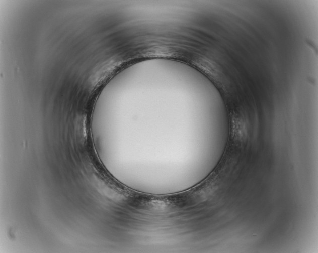X0000100850302200806201221